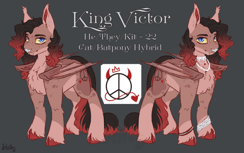 Sona Reference Sheet